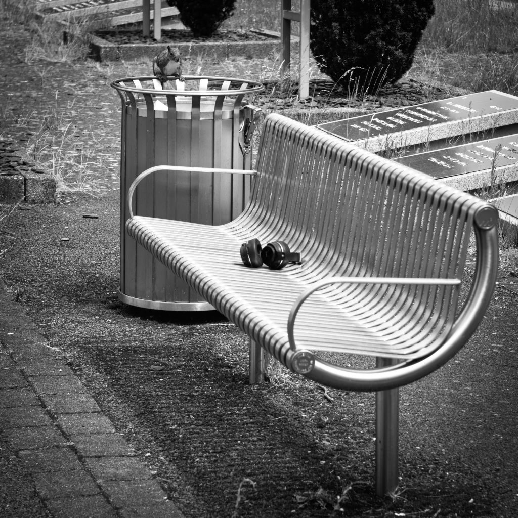 Just a grabbed snap of a squirrel who seemed to be eyeing up the headphones which somebody had abandoned on the bench.